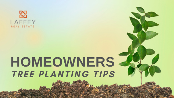 Enhancing Your Home with Tree Planting on Arbor Day | Laffey Real Estate