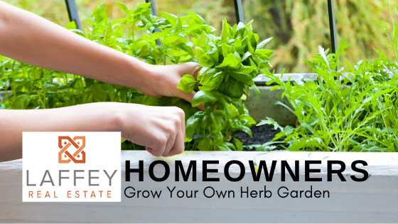 Grow an Herb Garden - Owning a Home - Laffey Real Estate